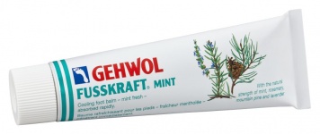 8101040500 MINT 75 ML